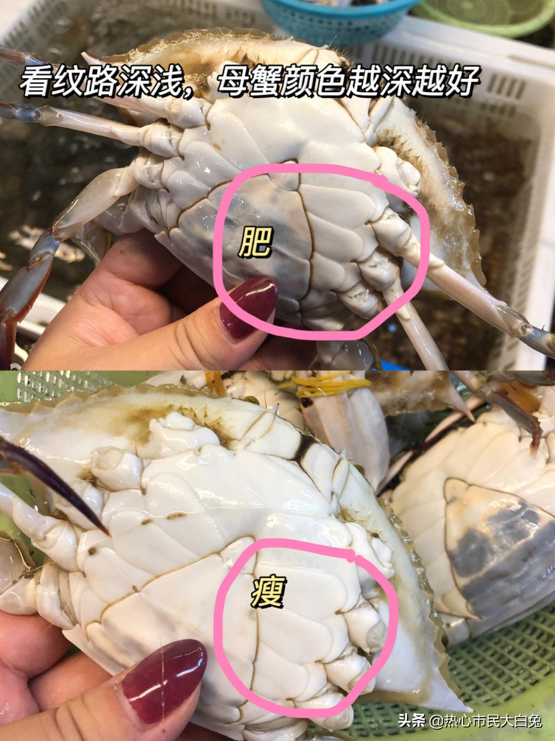 又到了吃螃蟹的季节你会挑吗,最适合吃螃蟹的季节是什么时候呢