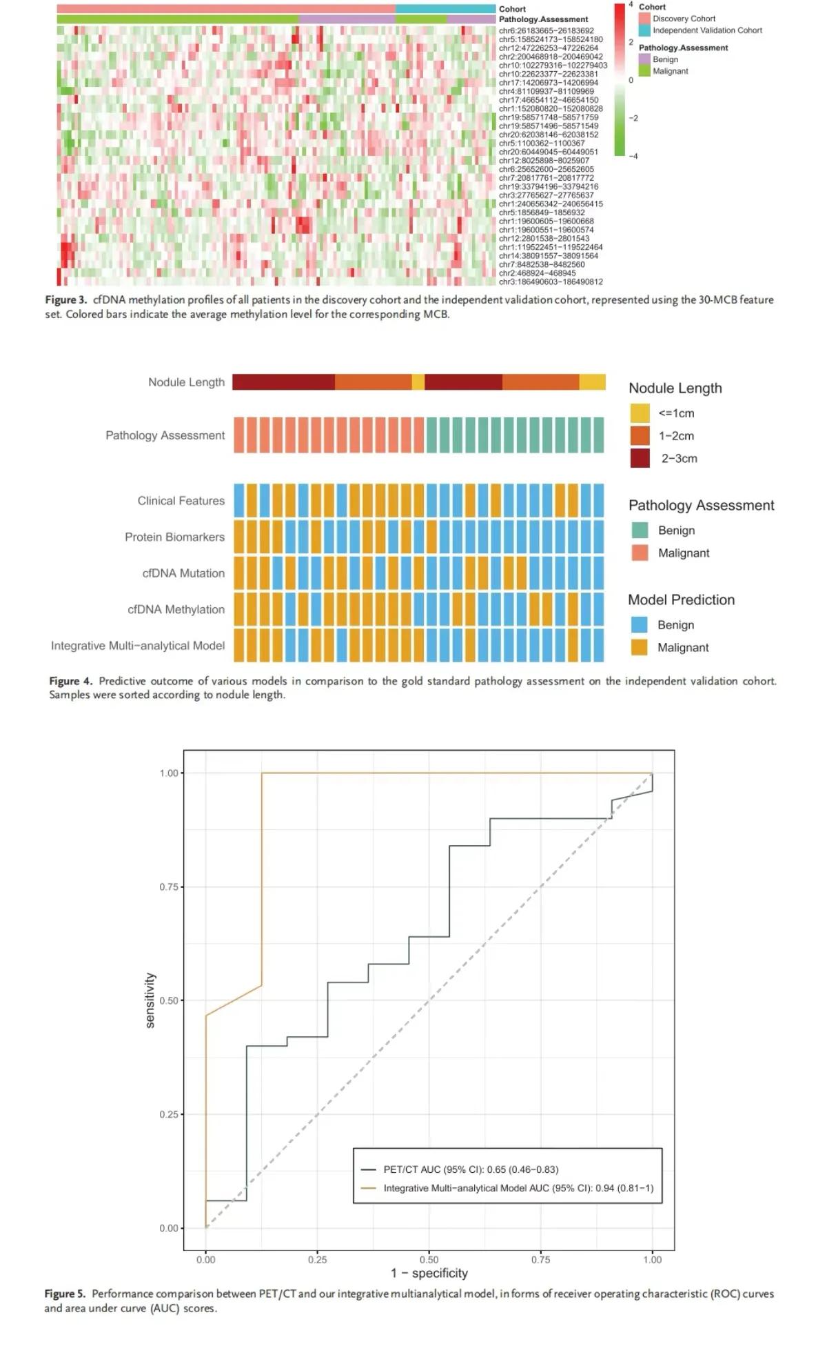 戴纪刚专家团队号,戴纪刚讲肺部原位腺癌