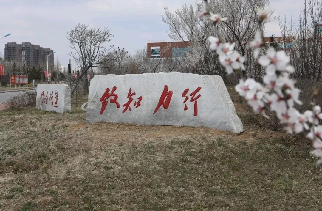 营口理工学院咋样,辽宁省公办高校营口理工学院