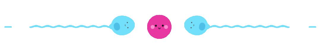 你的卵巢还好吗卵巢最怕这5件事,卵巢每个月排几颗卵子