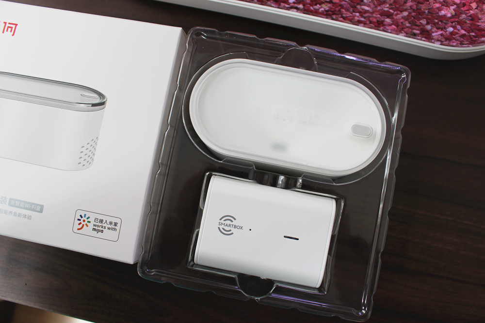 养鱼日记森森鱼缸,水族箱造景养鱼日记