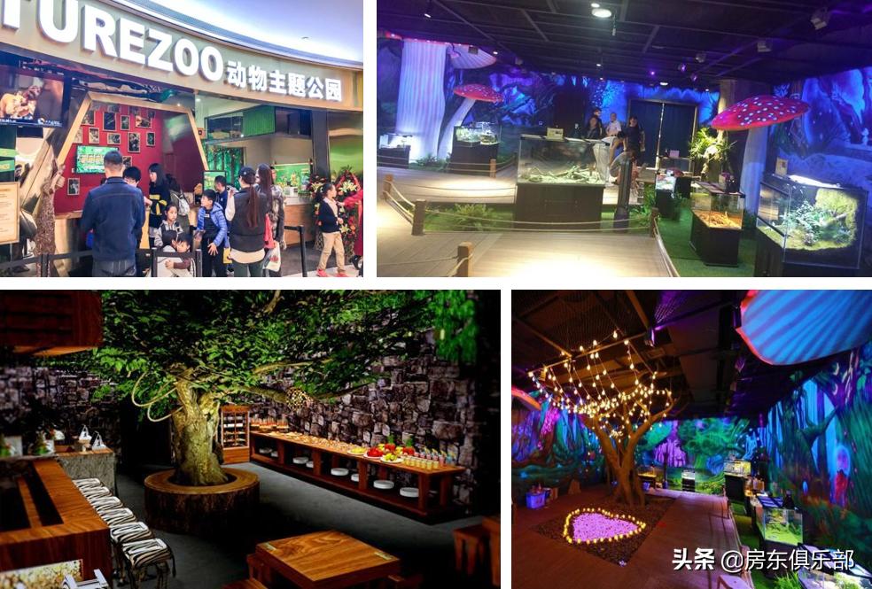 人生夹缝中的城市中产,如何找到自己的小欢喜?