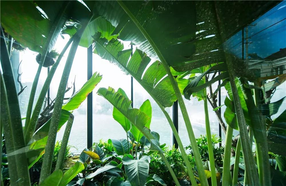 探秘!10000㎡打造世界烘焙商业新物种!!!(系列一)