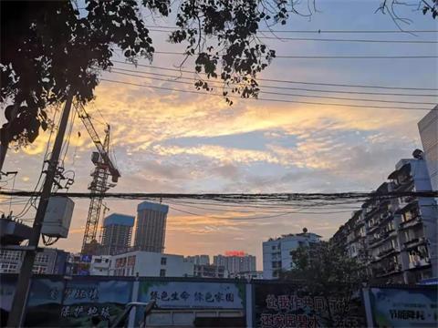 揭秘成都it培训现状,成都it教培怎样