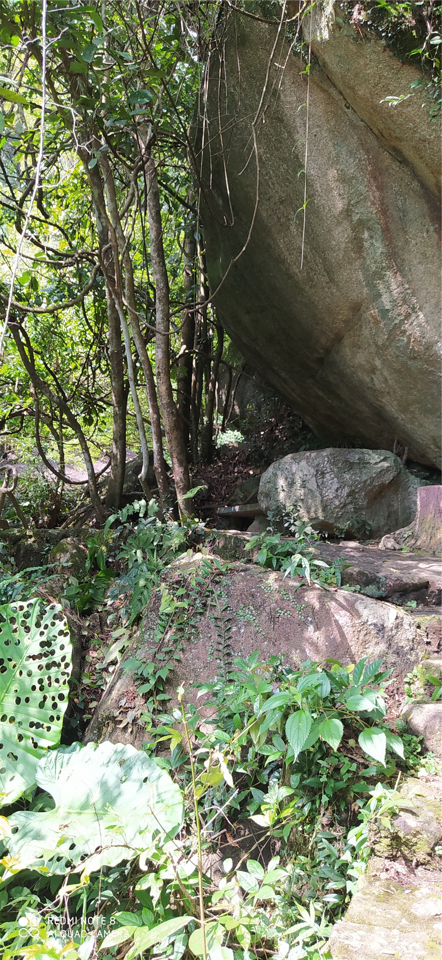 韶关新丰云髻山古城,韶关新丰云髻山游记