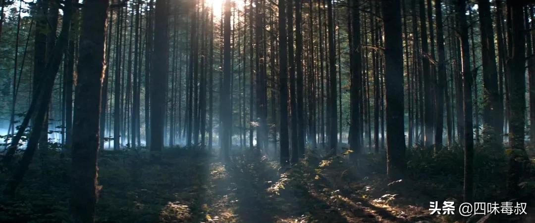 尼古拉斯·凯奇千里寻猪，“烂片之王”能否凭借这部电影咸鱼翻身