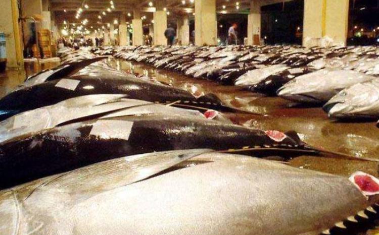 在日本没人买，转身“加价”卖给中国游客，当地人：赚钱太容易