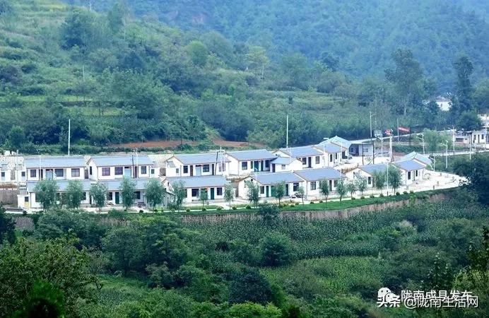 我叫成县，这是我2019年的自拍照