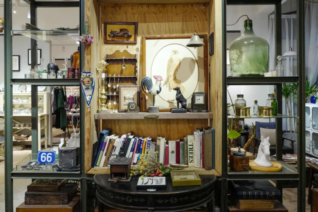 带你看大理的苍山洱海,大理洱海你去过感觉怎样