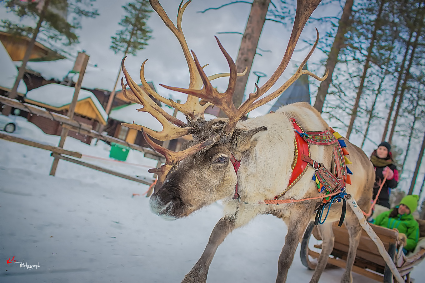 果小姐的日常,果小姐的慢生活