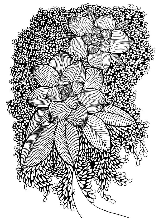 高级线描画花卉大全,花卉线描100种