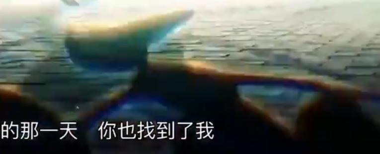 瀹濆彲姊﹂澶寸ぞmv,楠ㄥご绀惧疂鍙ⅵ