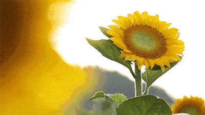 从小被夸大的孩子会出现什么问题,那些被夸大的孩子