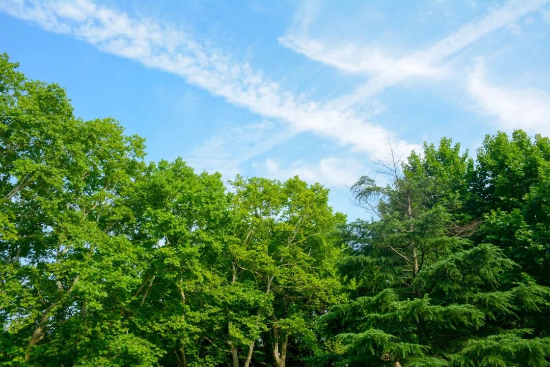 全国第一!华中农业大学真是太太太牛了