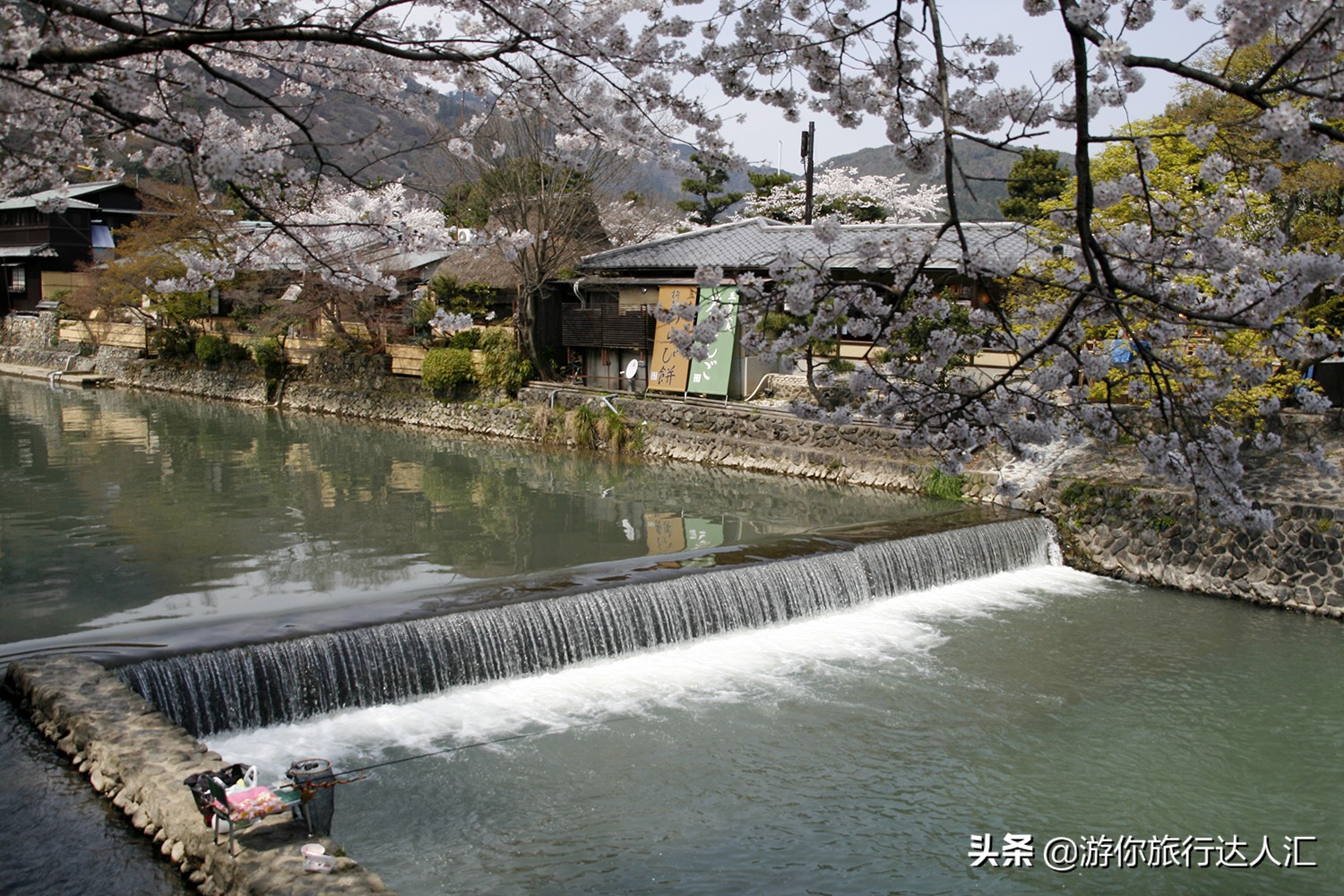 待到山花烂漫时完整版,待到樱花烂漫时的视频