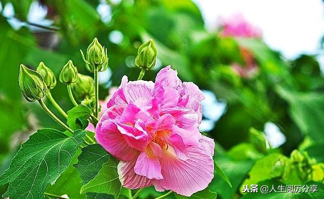 人生格言正能量励志名句简短,励志短句正能量名人名言