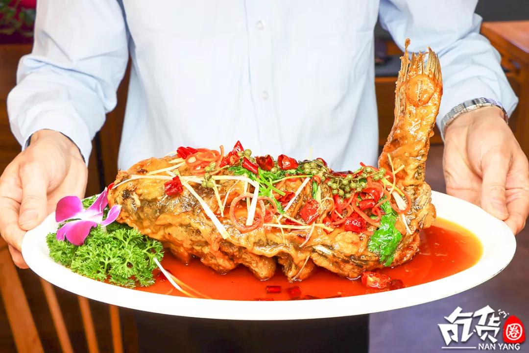 南阳这家羊肉汤，每天卖出200碗！进门先排队，羊肉包子抢着吃