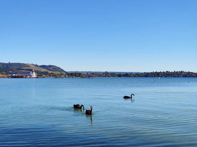 新西兰白云之乡,新西兰长白云之乡怎么来的