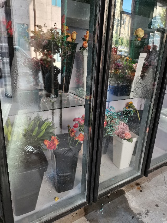 教师节应该收到什么花,教师节收到花的感受