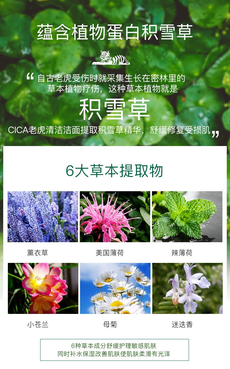 vt积雪草泡沫洁面,vt积雪草洗面奶