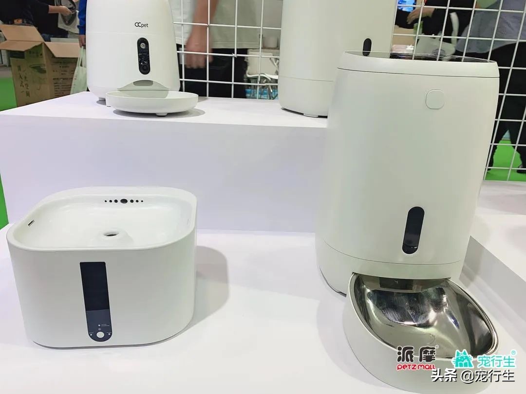 2020CIPS宠物展于广州开展，一大波萌物正在靠近