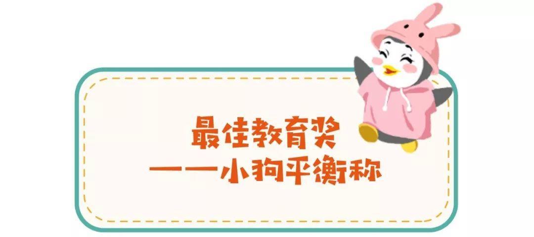 抖音上最火的十款玩具,抖音上很火的十款小玩具