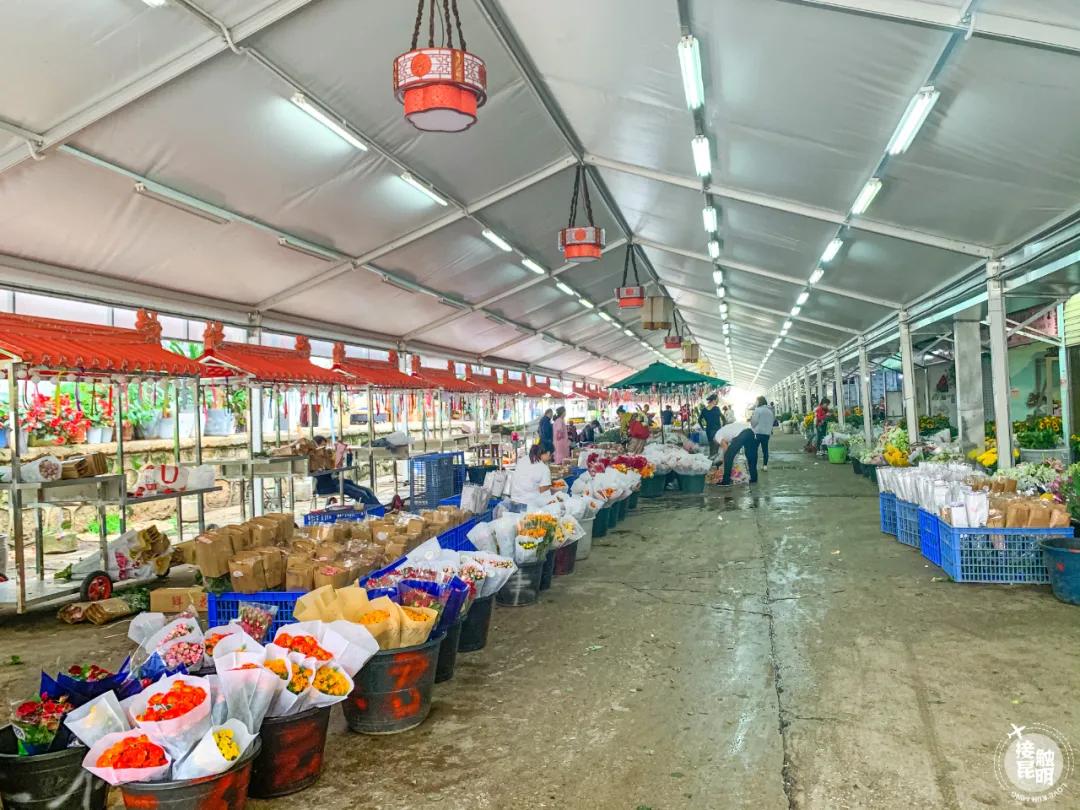 昆明鲜花进货渠道,昆明尚义花市