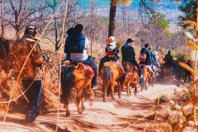 丽江拉市海茶马古道怎么去,丽江拉市海茶马古道线路