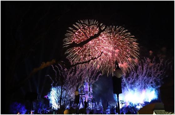 迈阿密海滩高级感泳装身材,经验心得分享篇