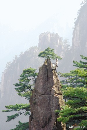 黄山自助旅游攻略学生,黄山自助旅游攻略重庆