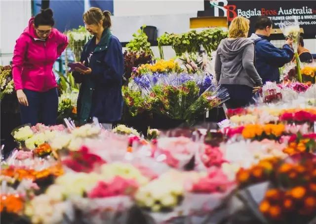 亚洲最大花市宛如仙境,中国最牛的花市