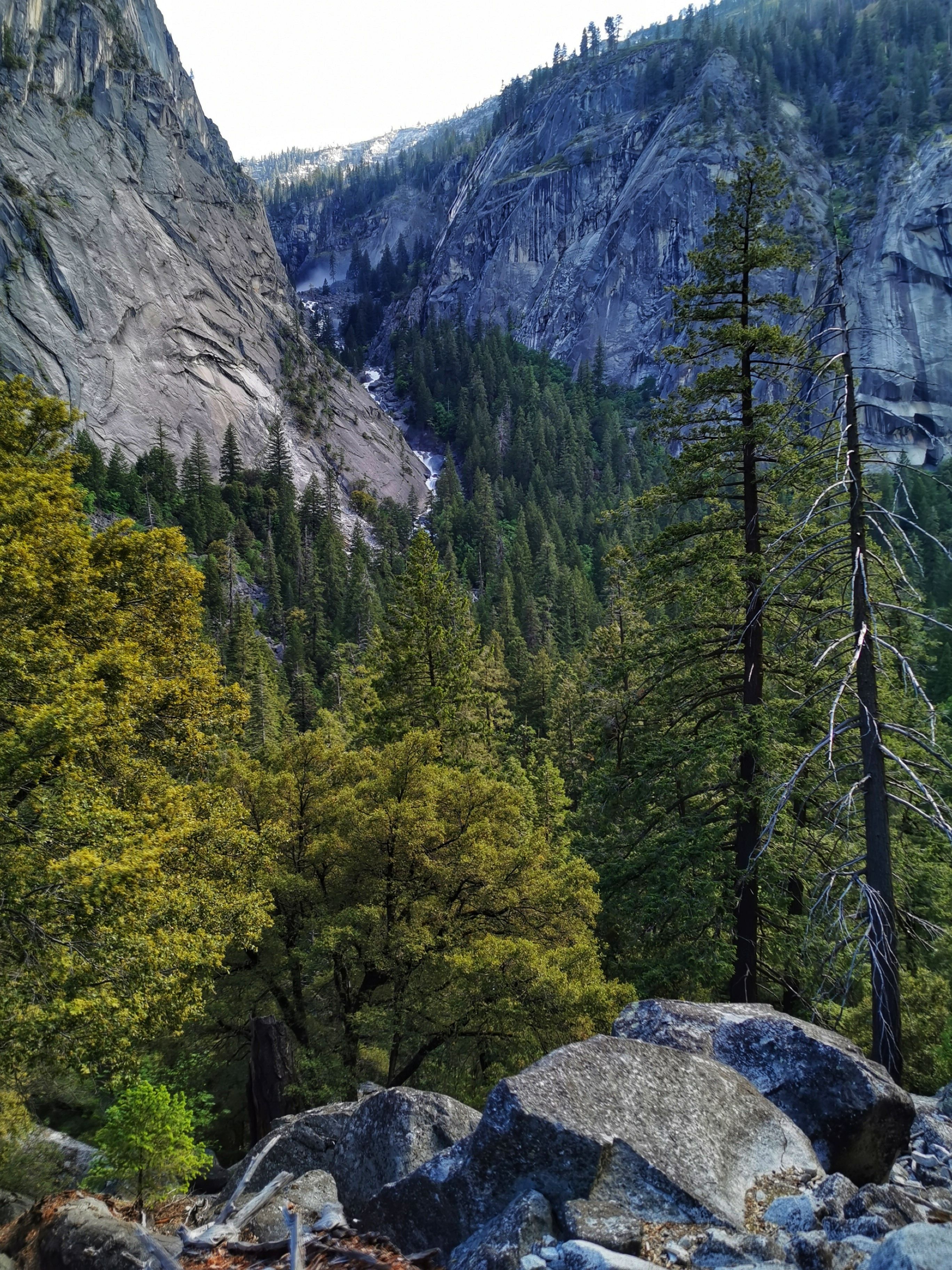 加利福尼亚优胜美地,美国旧金山优胜美地