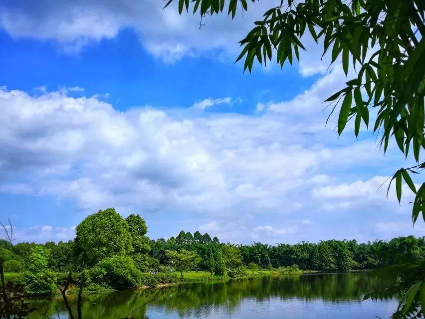 热炸！四川这些小众避暑佳境，光看图就能凉快10℃