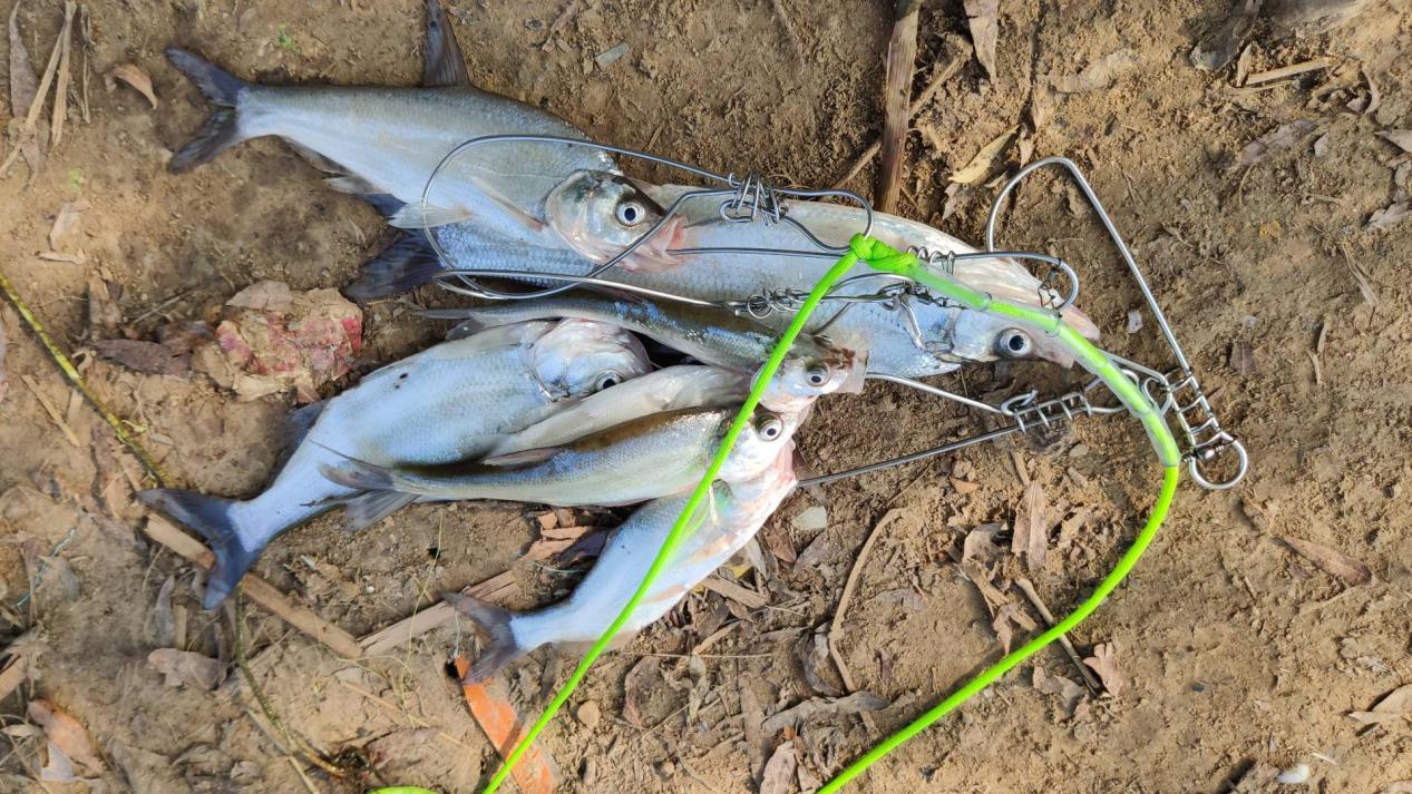 汉道洛克路亚钳,汉道全能工具箱