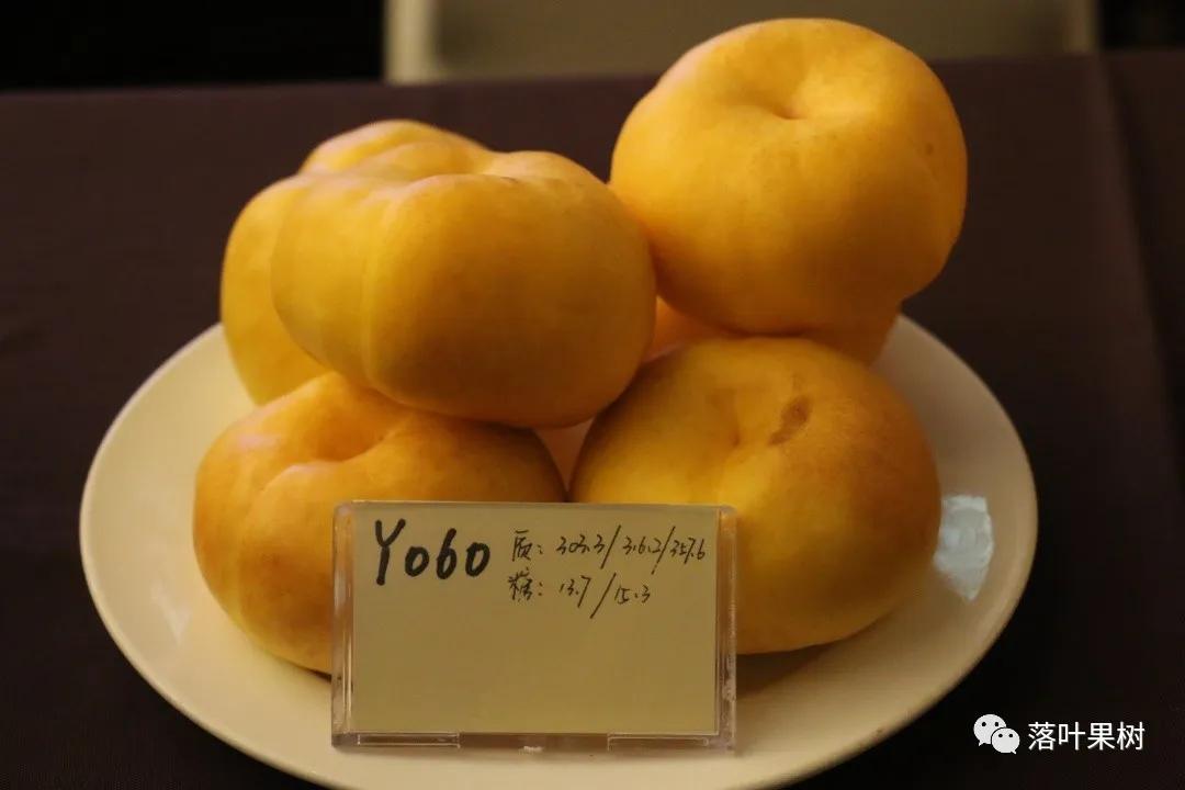 中国桃产业转型升级,桃产业转型升级的思考