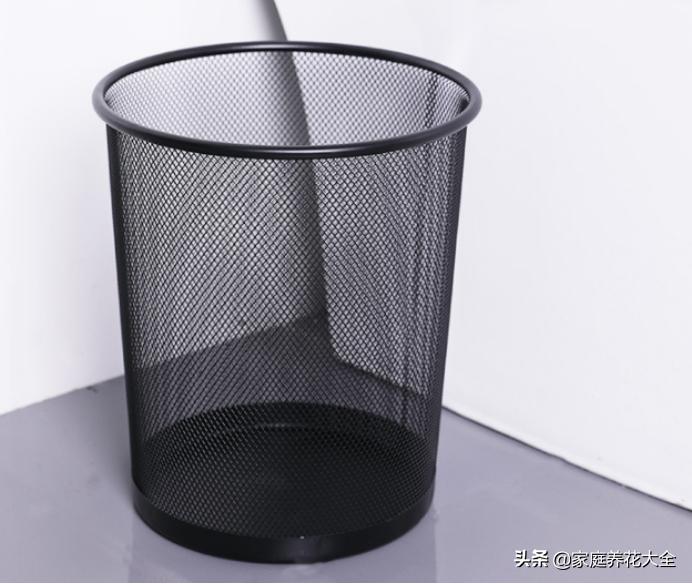 什么垃圾养花最好用又好看,垃圾桶种什么花最好
