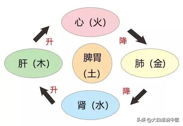 大白话说中医第十三期|七情五志连五脏