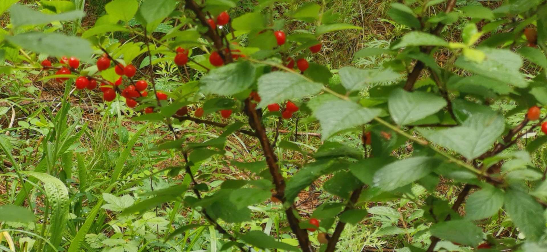 神奇的旅游城市,神奇的市区