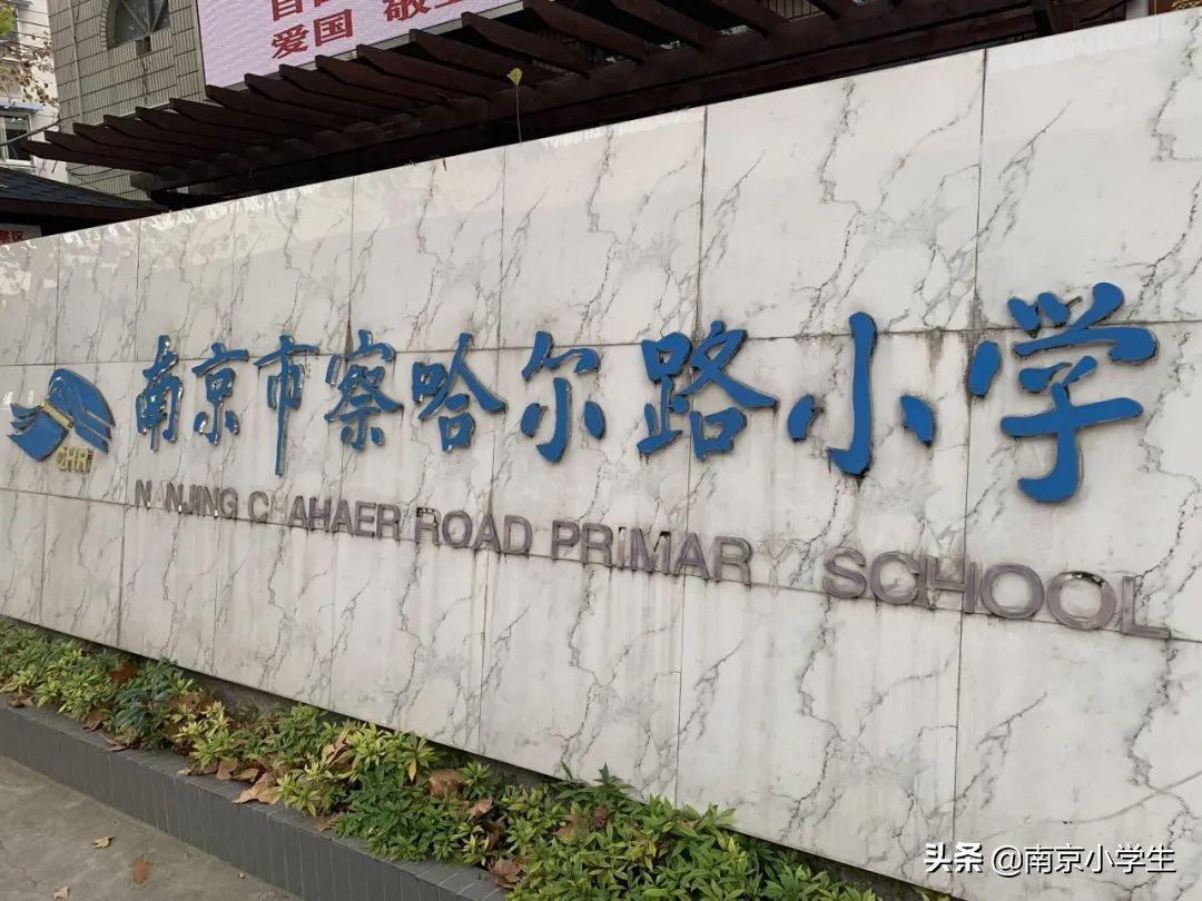 南京最美校园第一名,南京最美校园评选结果