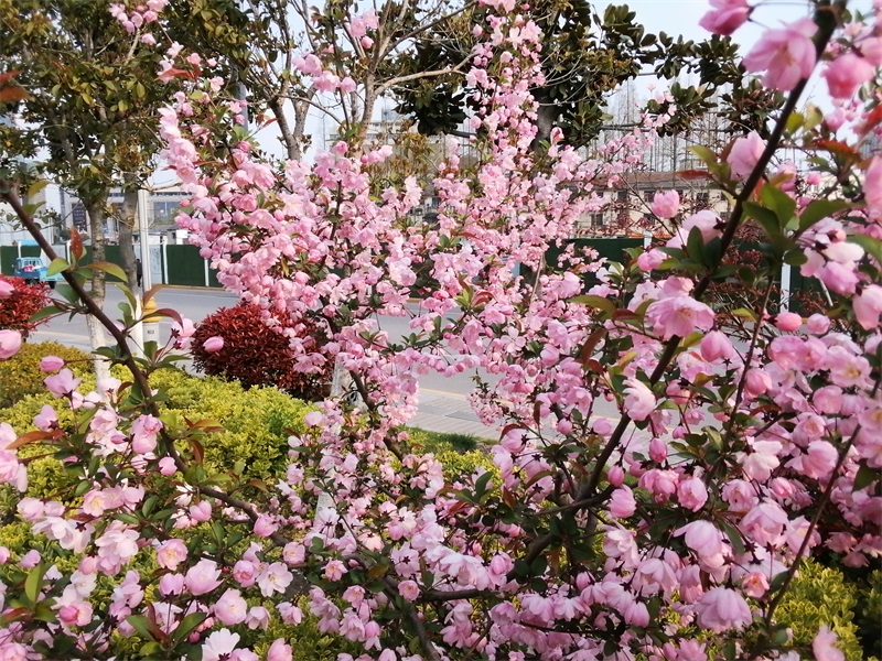 荣耀平板5的优缺点,gputurbo技术加持与高通对比