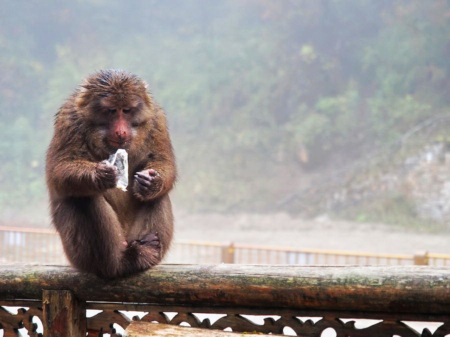 又美又神秘的风景,海螺沟的景色太美啦