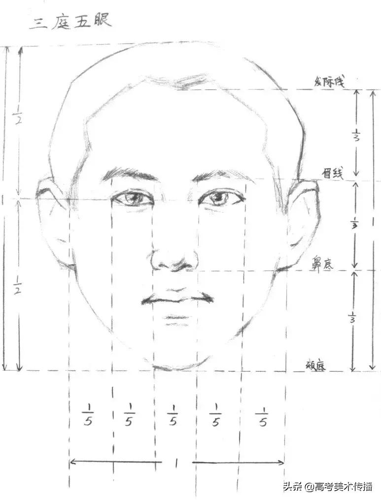 画画造型要到位,画画时怎样才能把形弄准