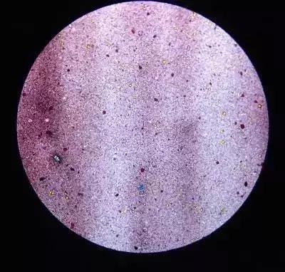 抽奖｜七夕活命指南——迪奥、故宫文创、浪漫鲜花已备好