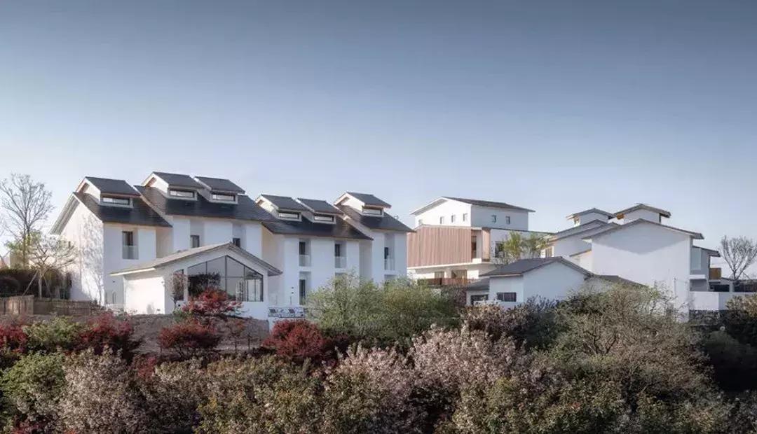 最美民宿世外桃源,最美的世外桃源民宿