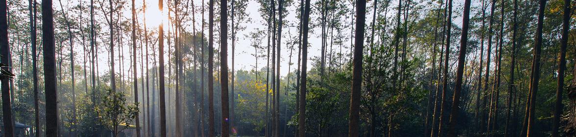 成都最高的山海拔多高,成都爬最高的山