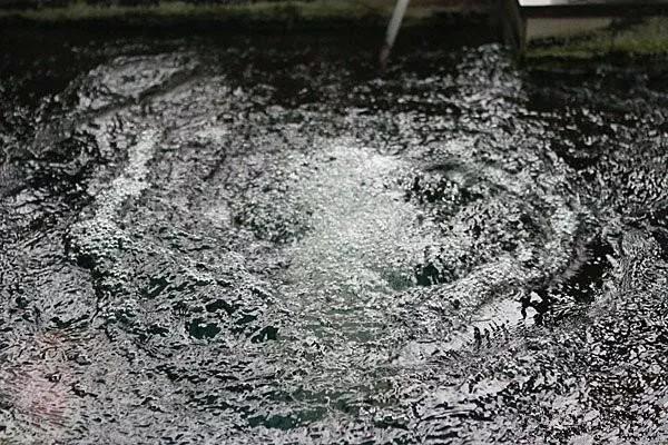 商铺顶露台怎么搭建不违法,顶楼露台改造鱼池