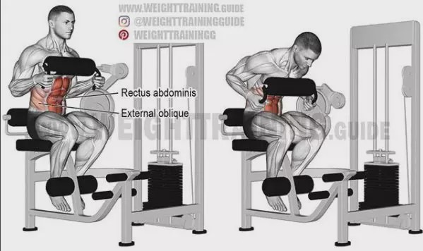 胸肩背臂腿腹训练动作,腰臀肌肉训练方法
