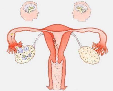潮湿天气妇科炎症发作,妇科炎症经常复发是什么原因