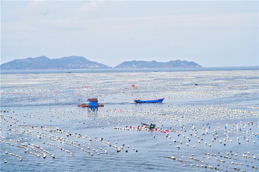 嵊泗美食推荐攻略,嵊泗列岛旅游攻略美食