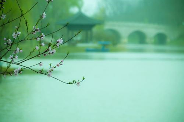 草长莺飞二月天拂堤杨柳醉春烟,草长莺飞二月天拂堤杨柳醉春眠